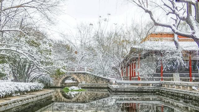 为什么埋葬逝者，抬的棺木中间不能落地，为什么埋葬逝者（为什么下葬途中棺材不能落地）