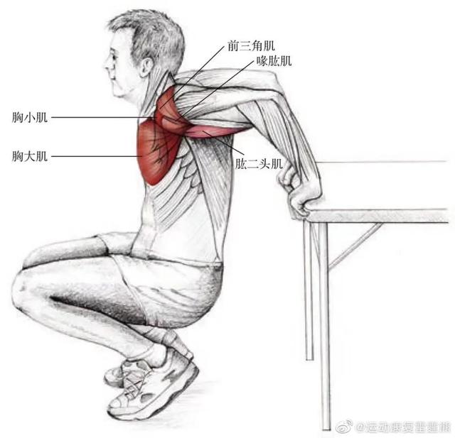 徒手如何练肩三角肌，五个动作高效练肩