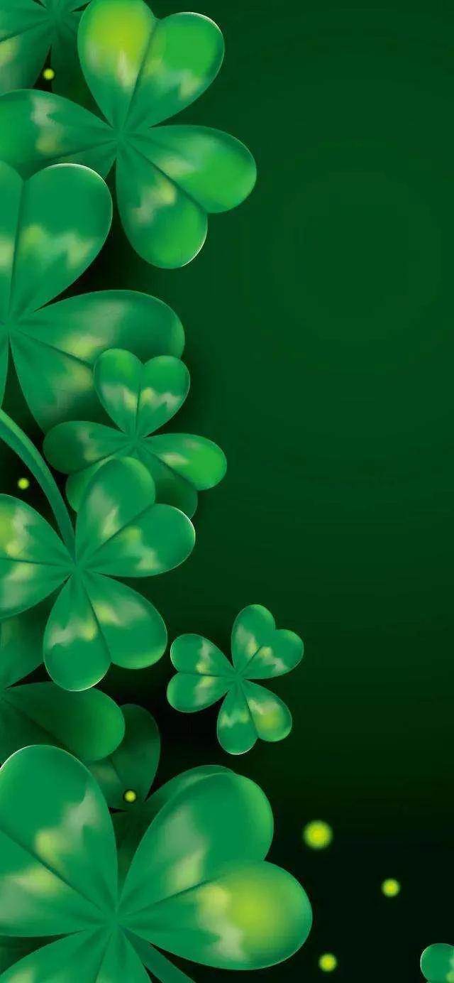 1,绿色屏保;2,唯美鲜花;3,青山绿水;4,清新美女.