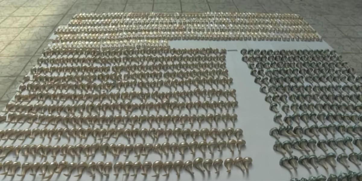 夜光蝾螺在黑暗中能发光吗，夜光蝾螺会发光吗（这种东西来自二级保护动物）