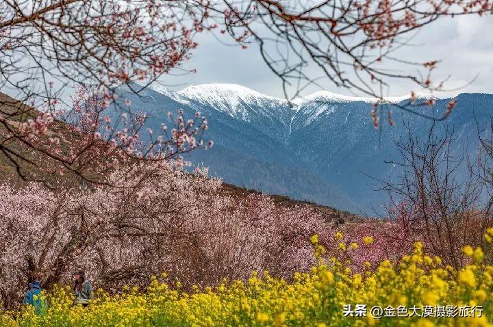 成都弥摄影（2023年3月24日）