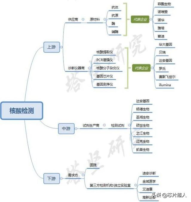 核酸检测里的芯片，你了解多少？