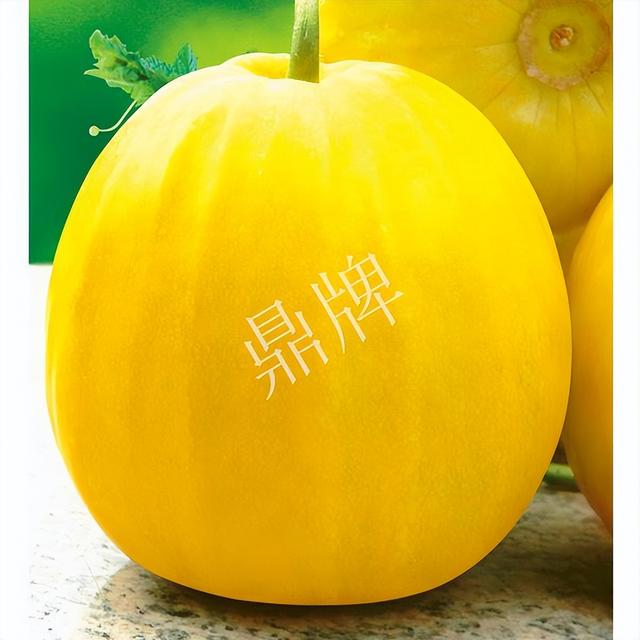 中国10种最甜的甜瓜，最香甜的甜瓜品种（附4种市场爆款品种）