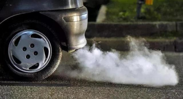 石楠花气味是什么味道，为什么路边种那么多