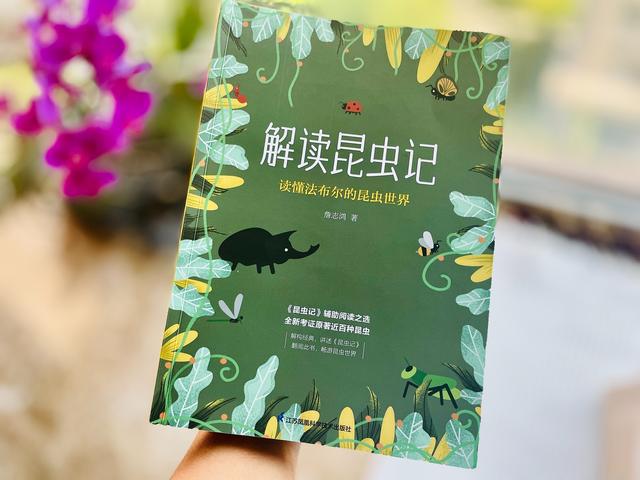 昆虫记内容简介，昆虫记内容简介50字（《昆虫记》是孩子必读书）