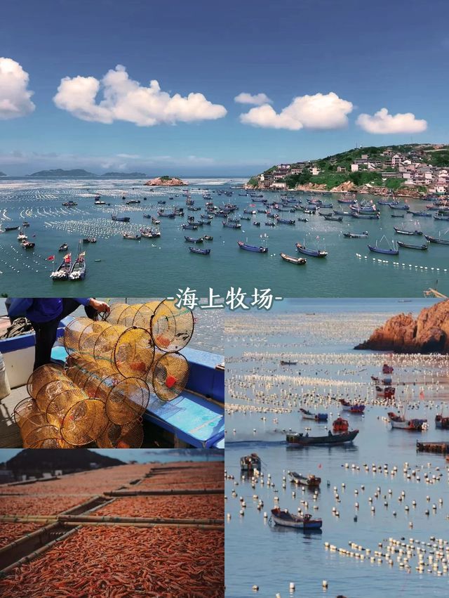 浙江海边沙滩旅游景点，中国海滩排名（浙江这几个海岛美翻了）