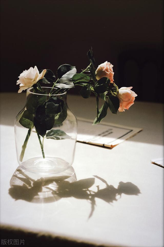 朋友的定义到底是什么，什么是朋友（为什么越幼稚朋友越多）