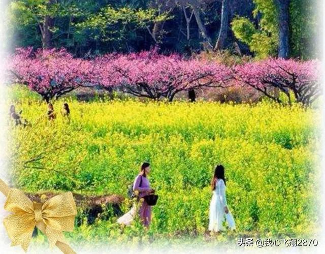 等待绽放作文高三700字 等待绽放的优秀作文，等待绽放作文高三700字（漫画作文：静待花开）