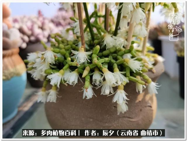 雨露均沾后宅古代n，雨露均沾后宅古代n女尊（终能遇见美好）