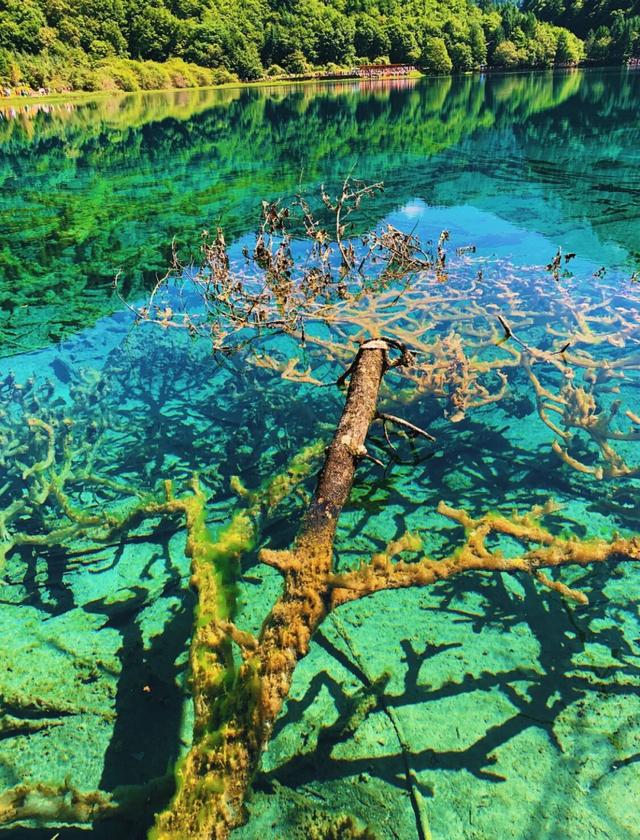 一个人可以玩什么，一个人玩的运动项目（适合一个人旅行的10个地方）