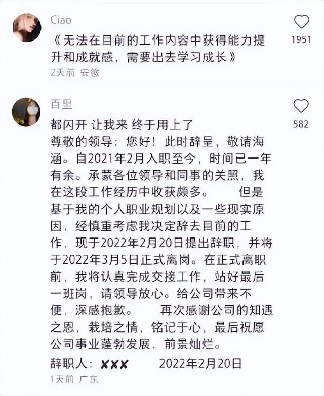 最佳离职原因30字左右，30字左右的个人离职申请怎么写（年后辞职理由大赏-我想去有风的地方）