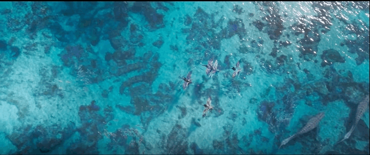 阿凡达简介，阿凡达简介100字（来，提前剧透下《阿凡达2》）