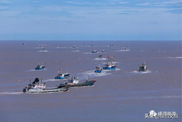 葱油黑鲷鱼做法，油炸鲷鱼做法（东海全面解禁）