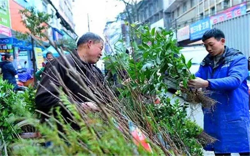 村口摆摊卖什么好卖，适合在农村摆摊的小生意