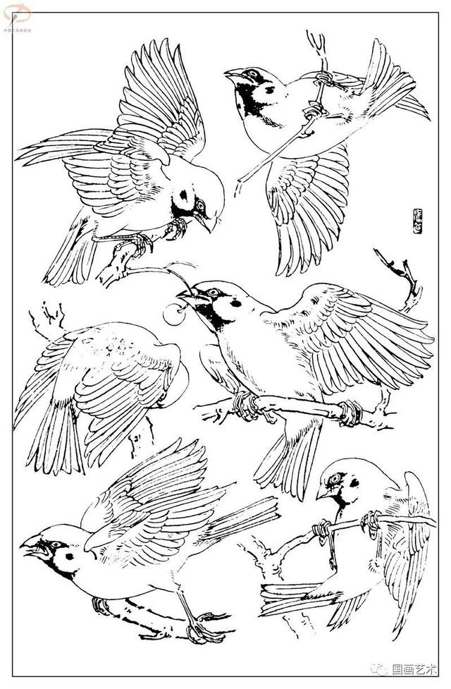 火的简笔画图片，火焰怎么画简笔画图片（画鸟参考——白描麻雀百图）