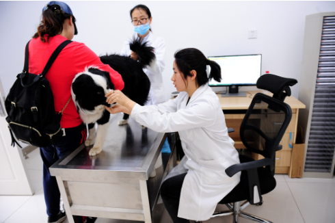 杭州工作好找吗，请问杭州工作好找吗（大学生们的就业面又宽了）