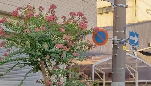 情侣公园约会适合做什么，情侣去公园都做什么（情侣约会可以做的事）