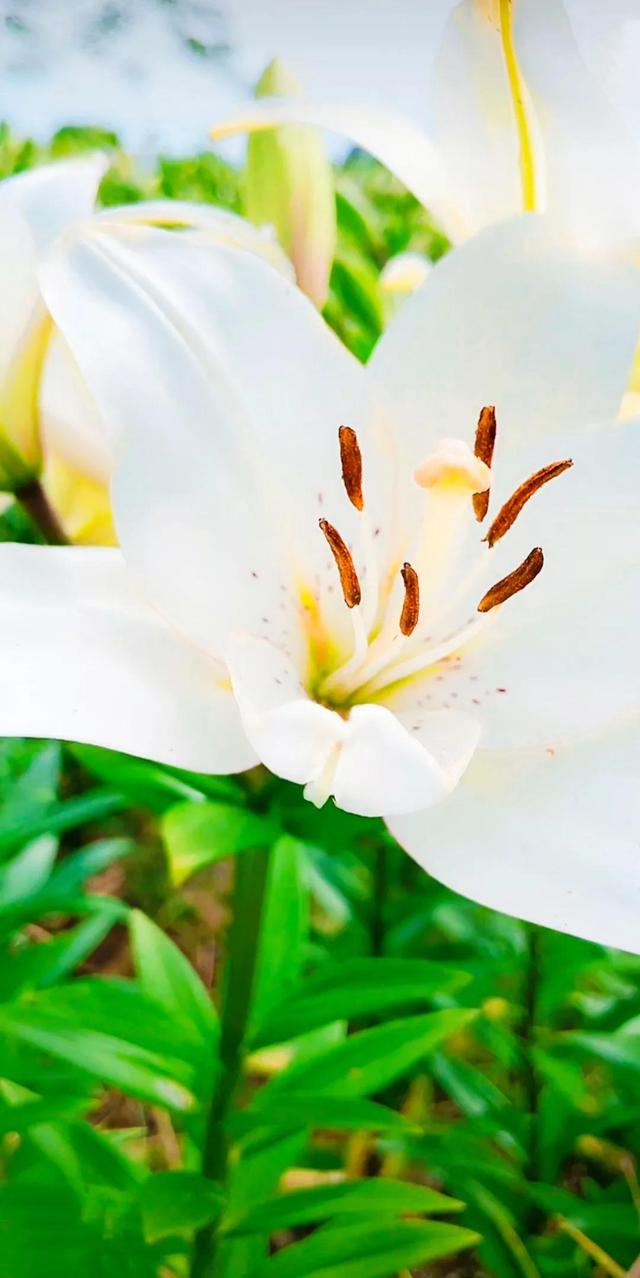 努力的意义是什么，努力的意义是什么图片（女人努力的意义是什么）