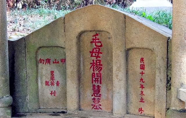 最后一枪剧情介绍，《最后一枪》（姚楚忠给杨开慧补上致命一枪）