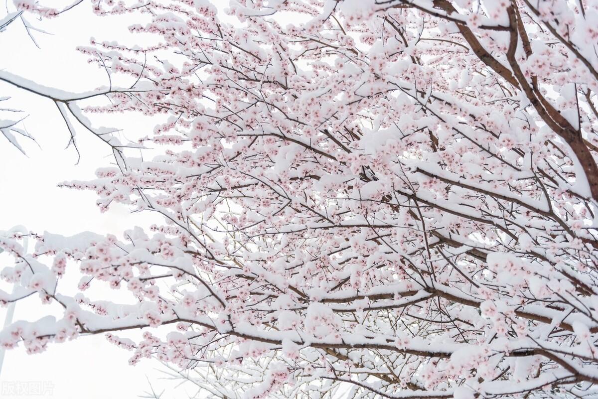 老人节是几月几日2022，老人节是几月几日2021（“九出正月，饿死老爷”啥意思）