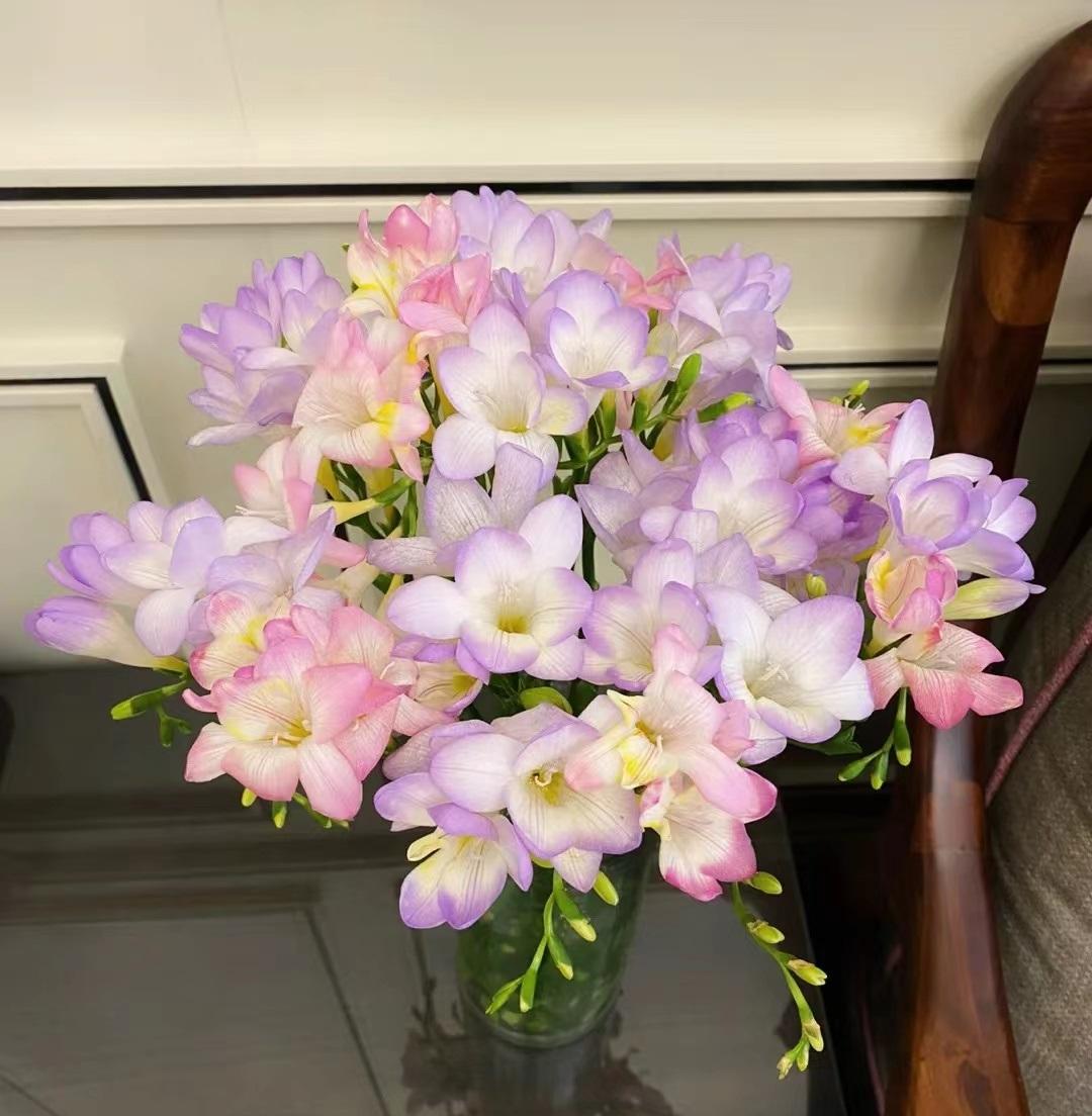 什么花秋冬季开花又好养(就选"香雪兰",好养活,开花早,花朵美又香)