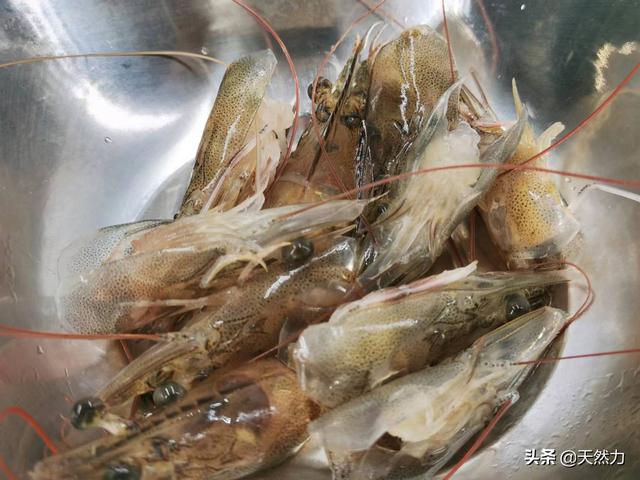 虾蒸蛋怎么做好吃又嫩，虾蒸蛋怎么做好吃又嫩好吃（详细的做法和步骤全告诉你）