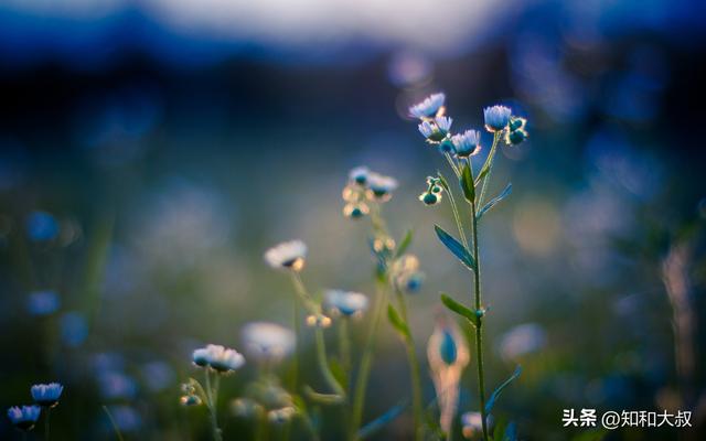 女人简单气质一句话，女人简单气质一句话早安语（一个女人最好的风水：一句话）