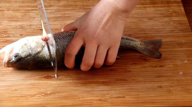 烤鱼用什么鱼最好，什么鱼做烤鱼好吃（错过了就要等一年）