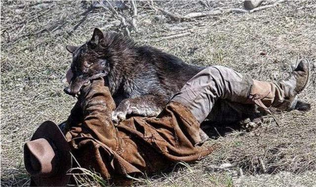 地球上最凶猛的动物，世界上最凶猛的动物的排名是什么（一个手持铁棍的男子）