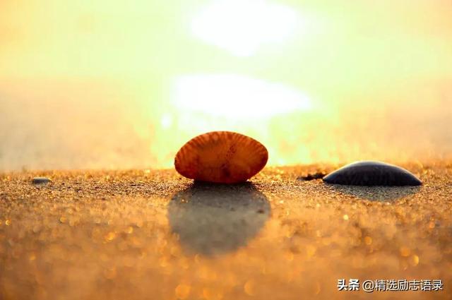 关于感恩心态的句子,关于感恩心态的句子简短(新的一年,学会感恩) 关于感恩心态的句子,关于感恩心态的句子简短(新的一年,学会感恩)