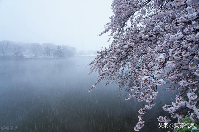 四个季节分别是几月，四季分别是哪几个月（今年双春年不一般）
