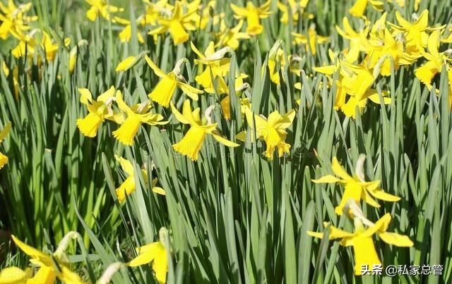 感恩帮助过我的人，感恩帮助过我的人句子（感恩于那些在人生路上）