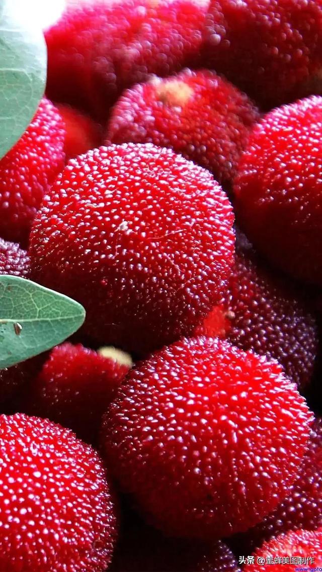 四个季节各有什么水果和蔬菜，四个季节各有什么水果和蔬菜和水果（60张水果蔬菜壁纸美图）