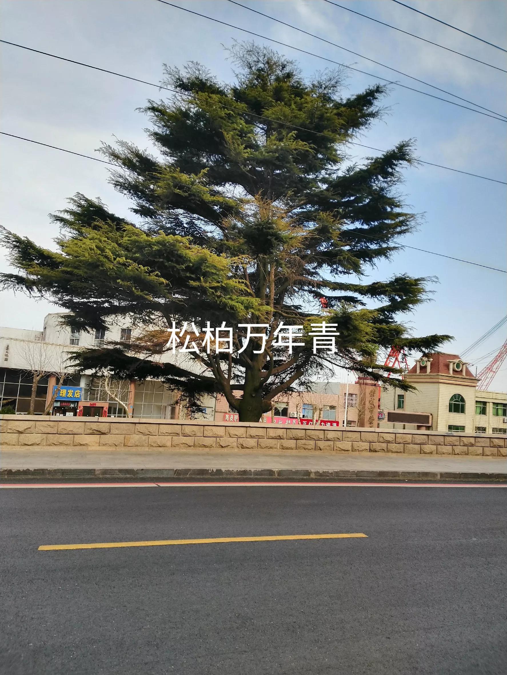 律师事务所销售好做吗（谈年轻律师如何拓展业务）