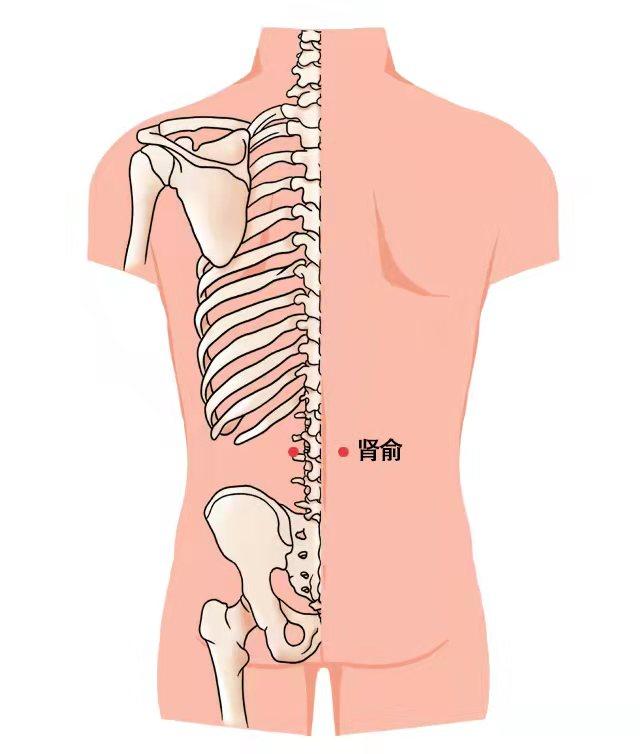 汉字肾俞怎么读，肾俞怎么读（肾俞来啦）