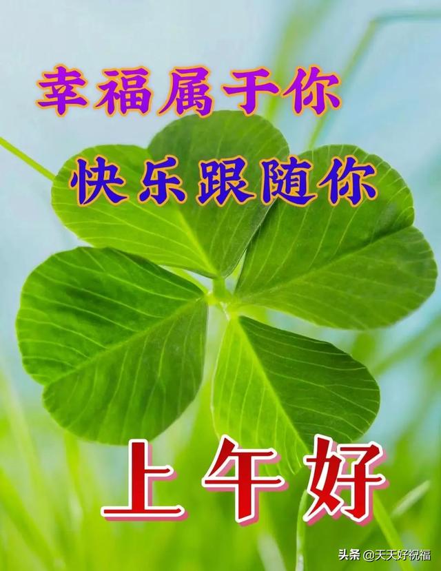 七开头的成语祝福，七字开头的成语祝福语（开心就对；健康长寿）
