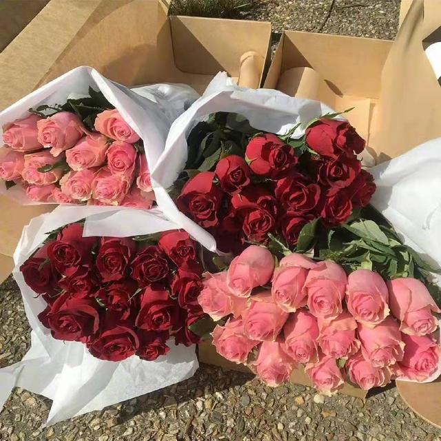 自我安慰的幽默句子，自我安慰的搞笑说说（关于安慰自己的文案）