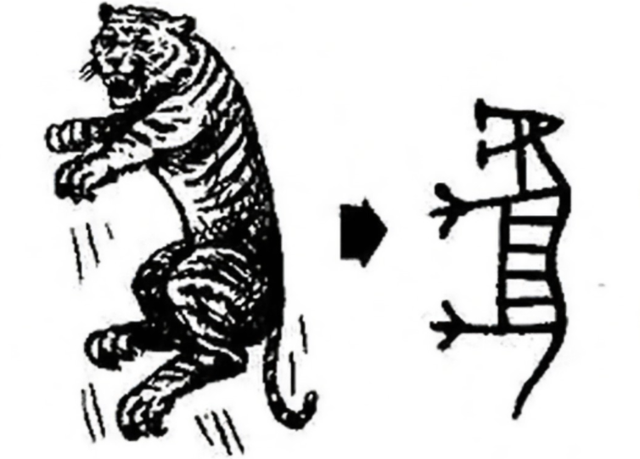 虎的演变过程文字图片