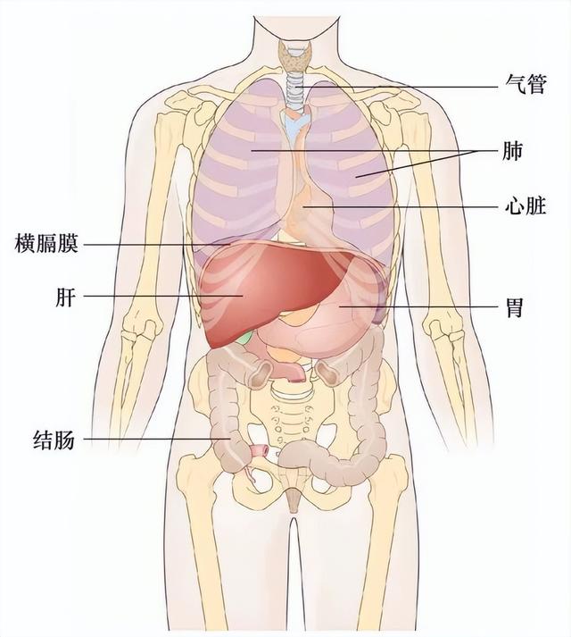 跑八百米的技巧，如何跑八百米轻松秘诀（体测跑800米是噩梦）
