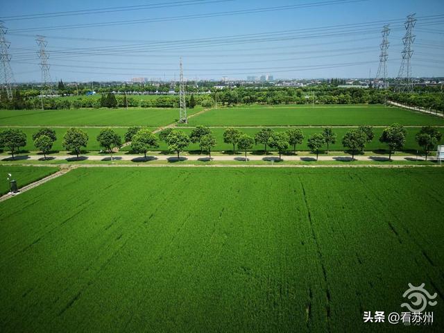 现代农业产业示范园简介，太仓市现代农业产业高质量发展示范园成功获批