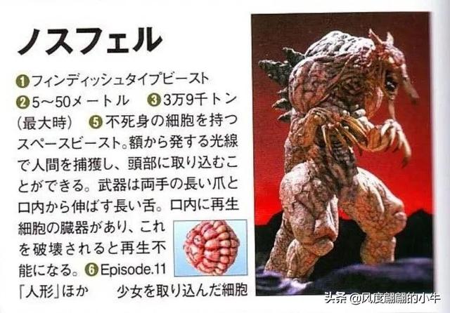 奈克瑟斯默示录，如何训练无意识记忆（奈克赛斯奥特曼怪兽图鉴）