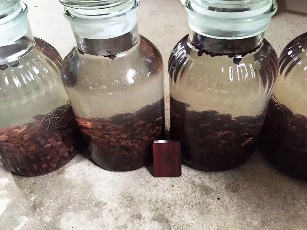捻子的功效与作用，山捻子的功效与作用（被称为“十大补酒”）