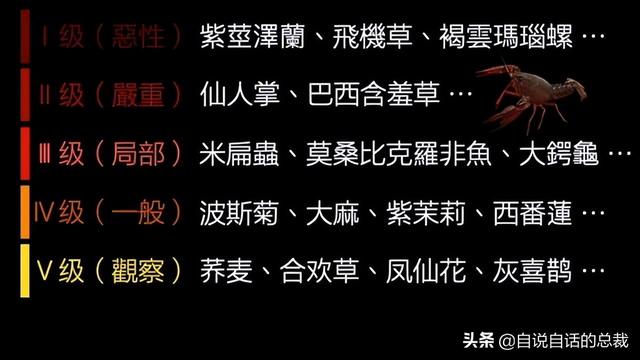 小龙虾属于海鲜类吗，小龙虾是海鲜吗（龙虾：从小龙虾到大花龙）