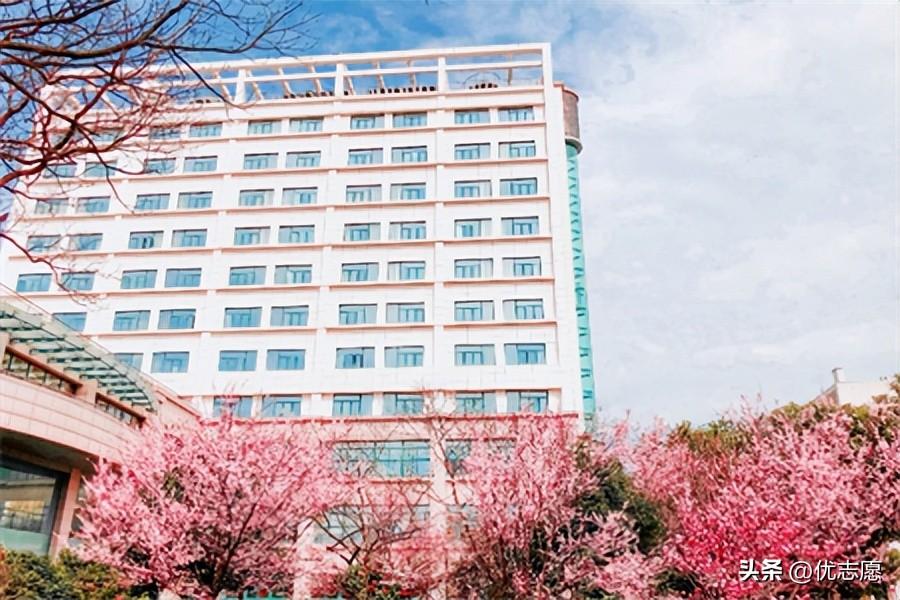 录取分数很低的大学（这些名气）