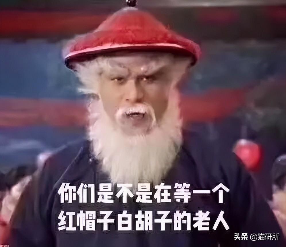 男猫咪高贵洋气的名字(有创意的公猫咪名字大全)