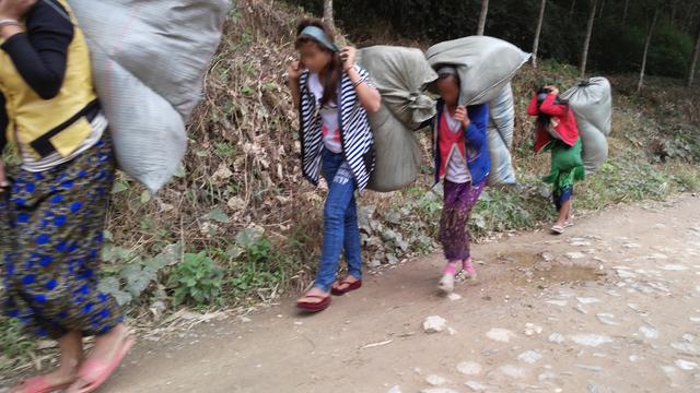 小勐拉属于哪个国家，小勐拉对面是中国哪里（初哥去过那个嘎腰子的缅北）