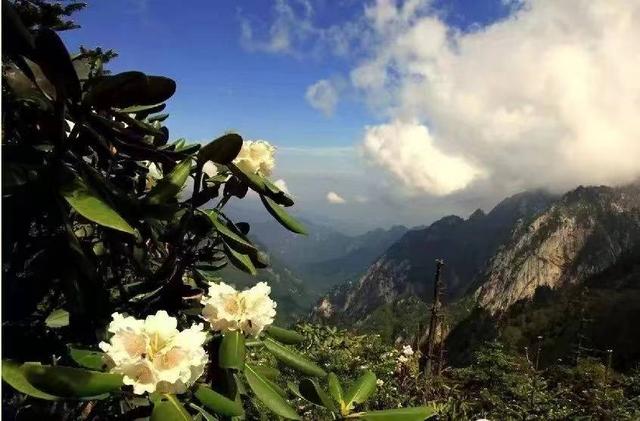 朱雀国家森林公园，陕西翠华山朱雀国家森林公园（玩转朱雀国家森林公园）