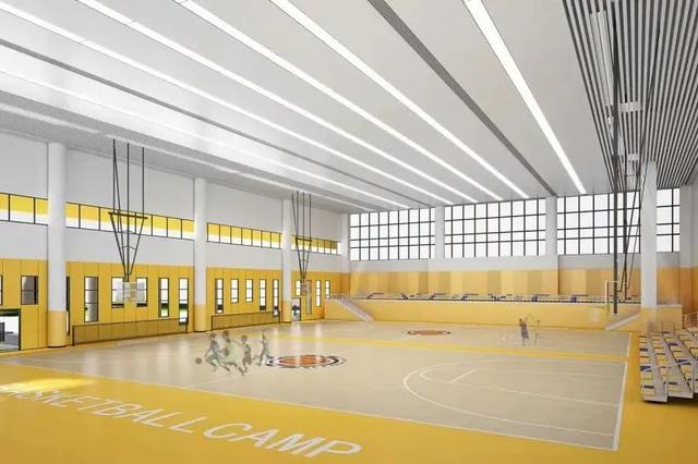 深圳四大名校高中，深圳四大名校高中地址（数理班、国际班都有）