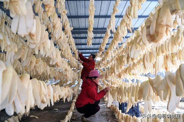 养殖业什么最赚钱农村，这3个农村致富好项目