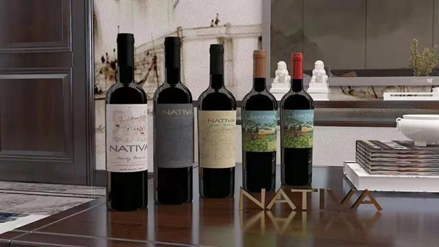 性价比最高的十款红酒，性价比最高的新能源汽车（到底哪个国家的葡萄酒更好喝）